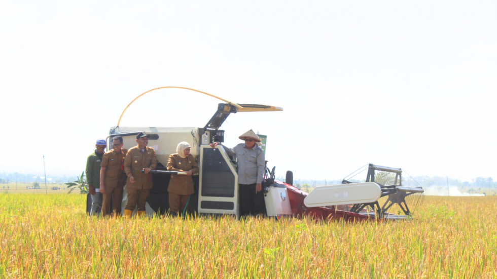PRESIDEN RI HADIRI PANEN RAYA PADI SERENTAK DI NGAWI, DUKUNG PERTANIAN BERKELANJUTAN